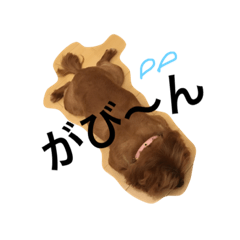 [LINEスタンプ] 茶太郎くんスタンプ