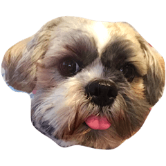 [LINEスタンプ] Dog Faces