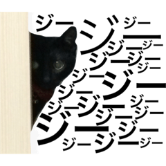 [LINEスタンプ] ★猫と久留米弁★ネーロVer.★の画像（メイン）