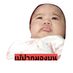 [LINEスタンプ] Ton-kao