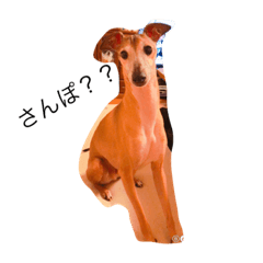 [LINEスタンプ] Love Love Dobby