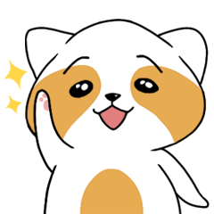 [LINEスタンプ] raccoon mon