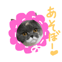 [LINEスタンプ] cute britney or her 3