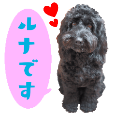 [LINEスタンプ] コッカプー犬ルナちゃんのスタンプ
