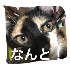 [LINEスタンプ] inori ＆ babies vol.3