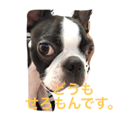 [LINEスタンプ] seromon