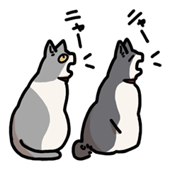 [LINEスタンプ] 姉妹ねこ日記
