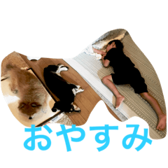 [LINEスタンプ] ちょこたんの日常