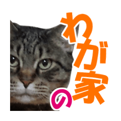 [LINEスタンプ] わが家の猫。