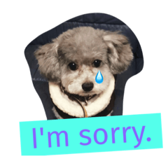 [LINEスタンプ] My dear pets