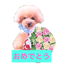 [LINEスタンプ] ジョイとジジ