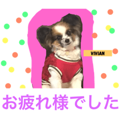 [LINEスタンプ] yuki BaBa