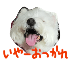 [LINEスタンプ] ウエスティの仲間たち