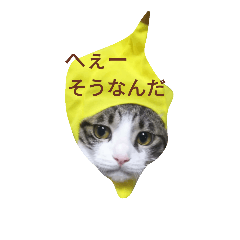 [LINEスタンプ] kojiro-