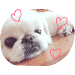 [LINEスタンプ] 高良家のみるちゃん！