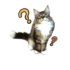 [LINEスタンプ] にゃのちスタンプ
