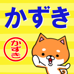 [LINEスタンプ] 超★かずき(カズキ)な柴イヌ