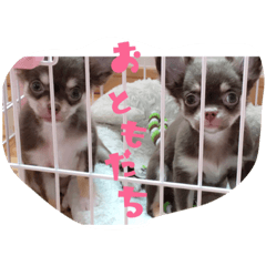 [LINEスタンプ] ココぷりん