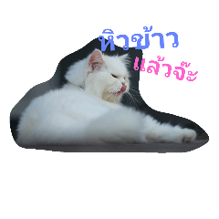 [LINEスタンプ] NBright