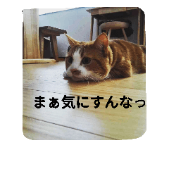 [LINEスタンプ] happy kitty