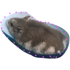 [LINEスタンプ] すずまるだよ