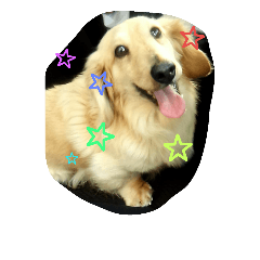 [LINEスタンプ] ダミニチュアダックスちゃん