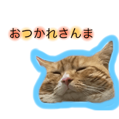 [LINEスタンプ] ロイくんとさんまさん