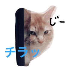 [LINEスタンプ] watasinoouchi 
