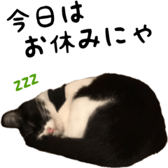 [LINEスタンプ] クゥとふく 7