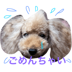 [LINEスタンプ] ポン吉3