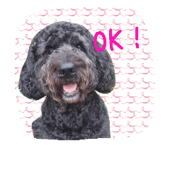 [LINEスタンプ] ノアスタ