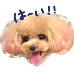 [LINEスタンプ] ネイルサロンの看板犬ビビ
