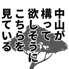 [LINEスタンプ] 中山さん名前ナレーション