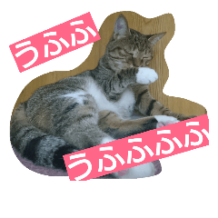 [LINEスタンプ] ウメ先生の1日