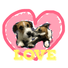 [LINEスタンプ] Jack Russell Terrier ten＆fuku