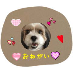 [LINEスタンプ] キャンディイ