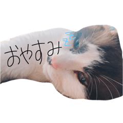 [LINEスタンプ] sakuti