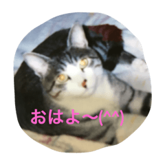 [LINEスタンプ] 元ちゃま