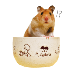 [LINEスタンプ] ハムスター ぐりくん