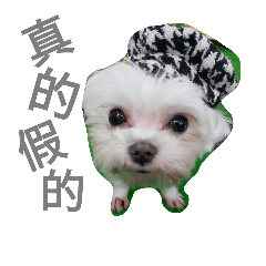 [LINEスタンプ] Do you know goldgold？