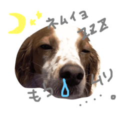 [LINEスタンプ] きなめーちゃん