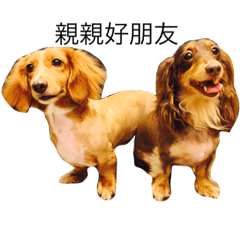 [LINEスタンプ] Mini＆Rubi Dachshund