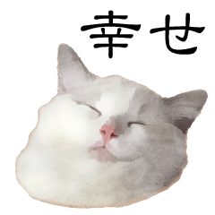 [LINEスタンプ] 悟り猫 2 日本語の画像（メイン）