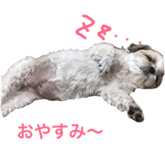 [LINEスタンプ] 愛しいココちゃん