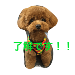 [LINEスタンプ] bambi_STAMP1