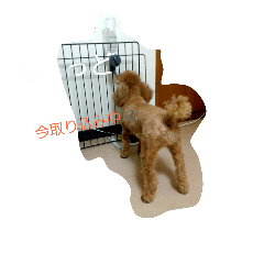 [LINEスタンプ] 松原メル