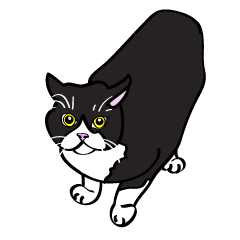 [LINEスタンプ] I LOVE CAT CAT CAT