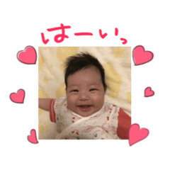 [LINEスタンプ] happyKOTO