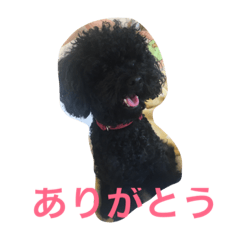 [LINEスタンプ] てぃあらの日常