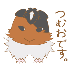 [LINEスタンプ] 俺様ビビリモルモット「つむお」スタンプ